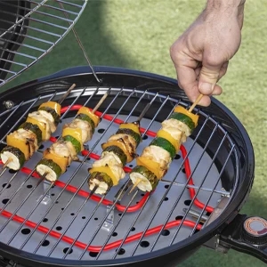 summer cooking electric grill