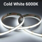 Cold white 6000K