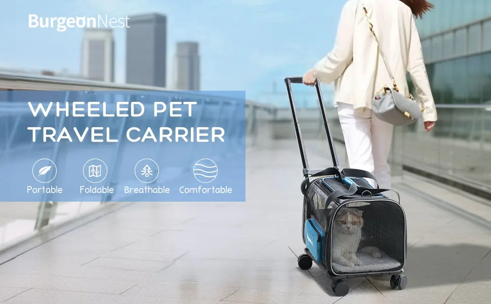 Airline Approved Cat Travel Carrier