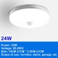 24W-Ceiling Light