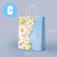 Gift Bag C 1PC