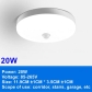 20W-Ceiling Light