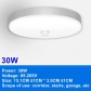 30W-Ceiling Light