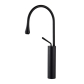 Matt Black Faucet