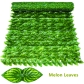 Melon Leaves