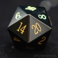 D20(1pcs)