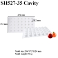 SH527-35 Cavity