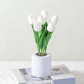 tulip-white