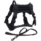 BK Harness and Leash