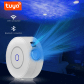 Tuya Wifi USB