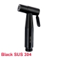 Black 304 spray gun