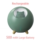 green rechargeable