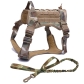 CP Harness and Leash