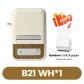 B21 Printer