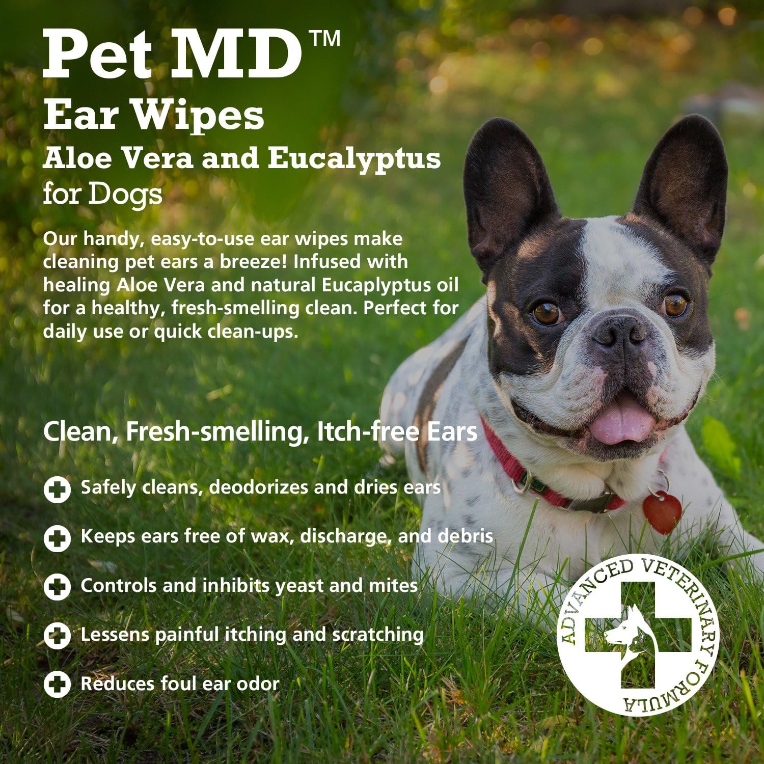 Pet MD - Dog Ear Cleaner Wipes - Otic Cleanser for Dogs to Stop Ear Itching, Yeast and Infections with Aloe and Eucalyptus - 100 Count