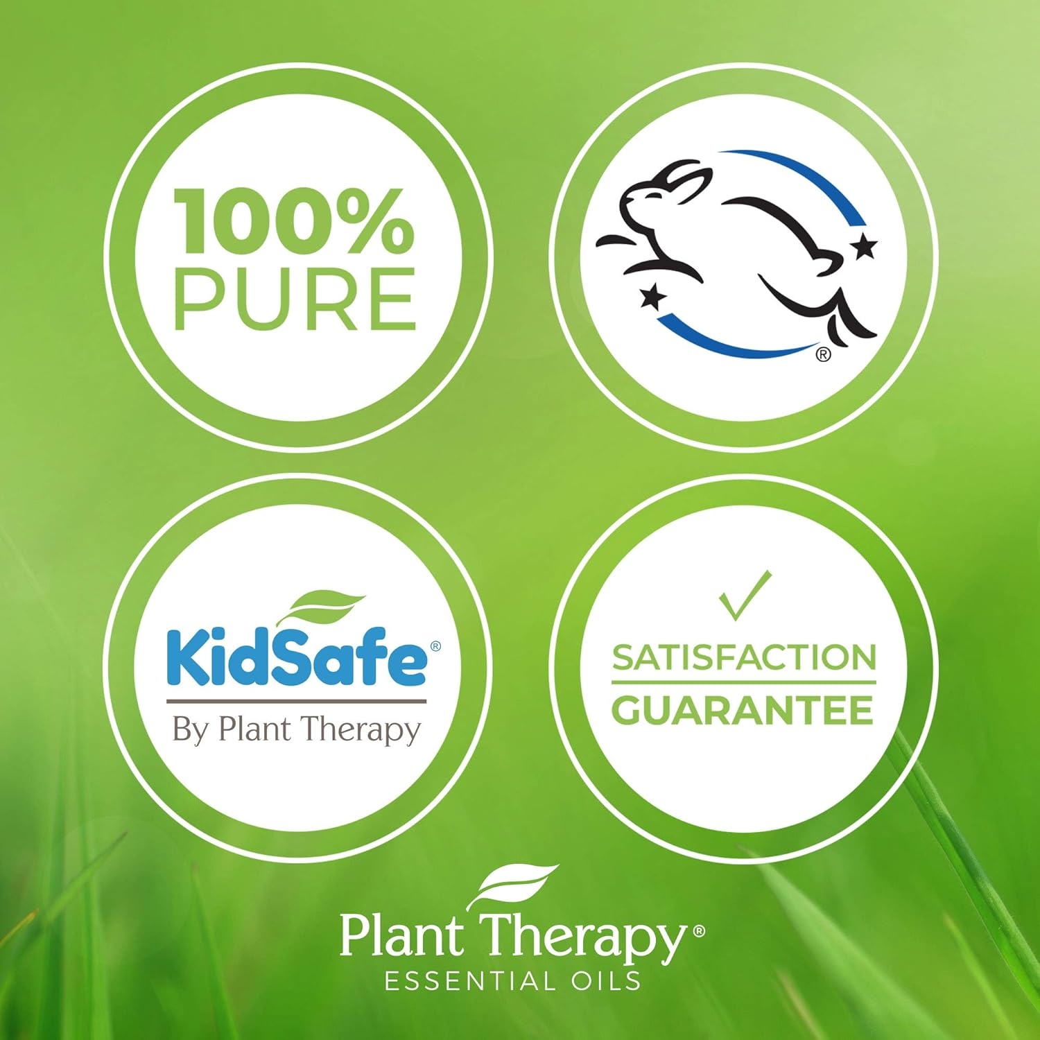 Plant Therapy Essential Oils KidSafe Wellness Sampler Boxed Set Includes Germ Destroyer, Immune Boom, Sniffle Stopper 100% Pure, Undiluted, Natural Aromatherapy 10 mL (1/3 oz)