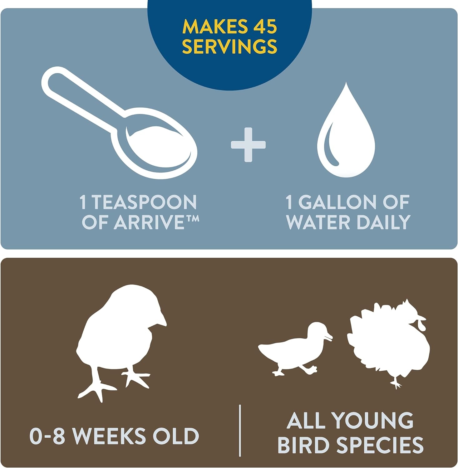 FlockLeader Arrive, Prebiotic Probiotic Supplement for Young Chickens, 0-8 Weeks, 8 OZ