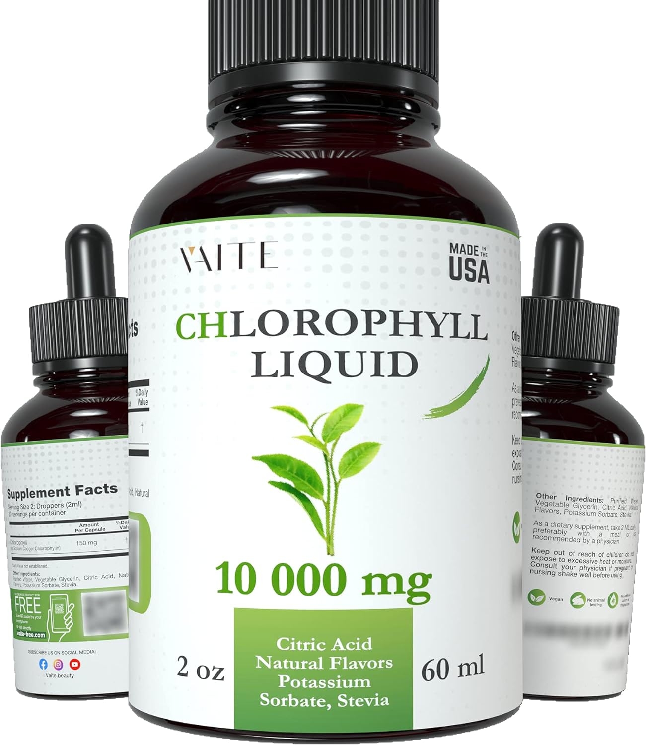 Liquid Chlorophyll Drops for Water Mint Flavored - Chlorophyll Supplement for Health - Energy & Immune System Booster - Free Sugar & Alcohol - Organic Sodium Copper Chlorophyllin Extract (2fl.oz)