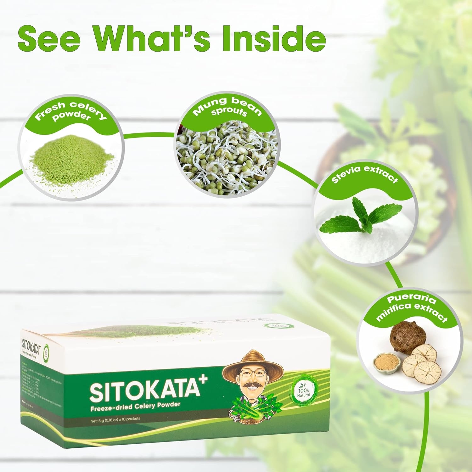 Sitokata Organic Celery Powder Supports Healthy Digestion, 100% Natural Celery Detox and Cold Pressed, Supports Body Detox and Cleanse, Rich in Immune Vitamin C and Minerals (1 Box of 10 Servings)