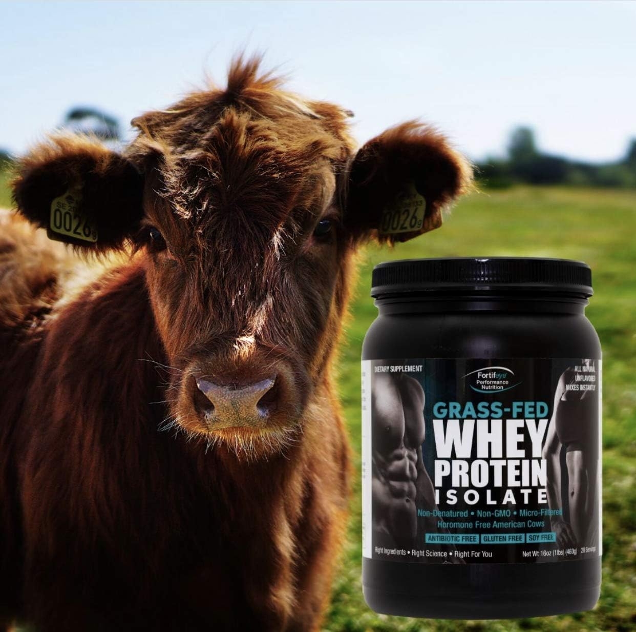 Fortifeye Super Protein New Zealand Grass Fed Whey Protein Non Denatured, Dark Chocolate Fudge, 1 Pack