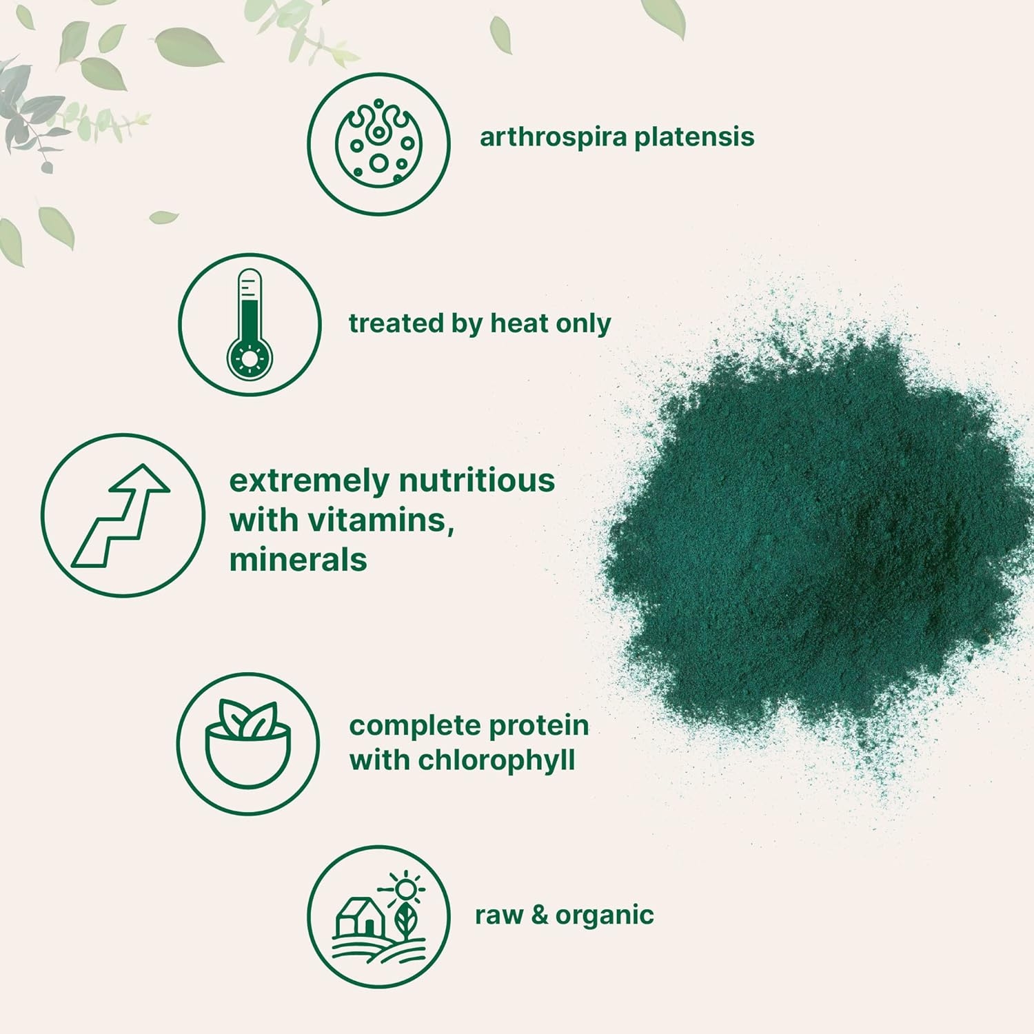 Micro Ingredients Organic Spirulina Powder, 1 Pound (16 Ounce), Rich in Chlorophyll, Minerals, Fatty Acids, Fiber, Protein and Support Immune System, No Irradiated, No Contaminated, No GMOs