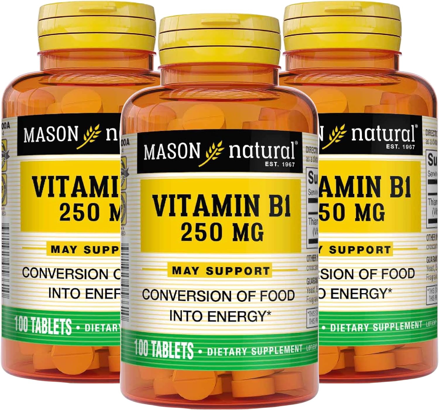 Mason Natural Vitamin B1 (Thiamin) 250 mg - Healthy Conversion of Food into Energy, Supports Nerve and Immune Health, 100 Tablets (Pack of 3)